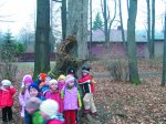 odkryj swoj park 20.11.2006 002 (kliknij aby powiększyć)
